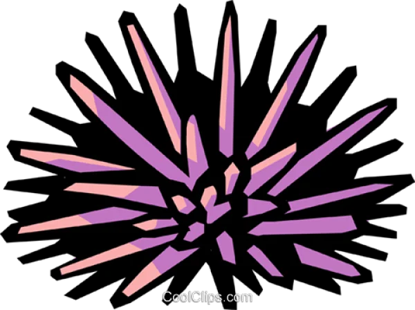 Stylized Purple Sea Urchin PNG Transparent Background