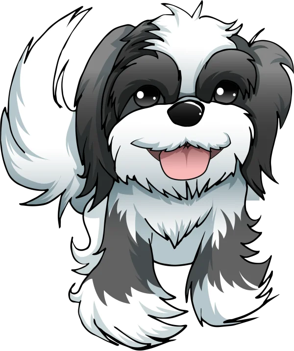 Cute Shih Tzu Puppy PNG Transparent Background