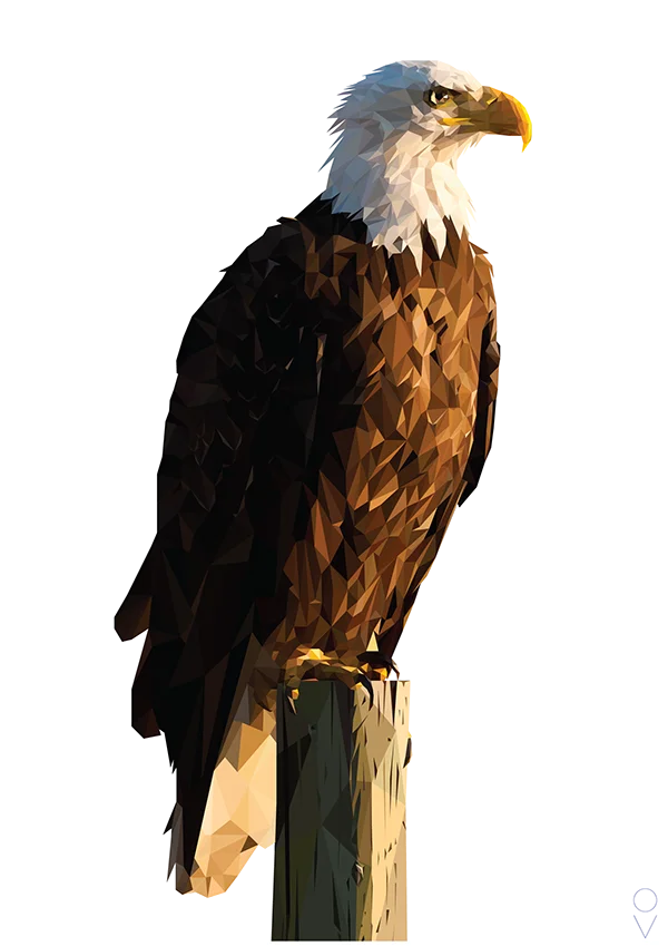 Low Poly Bald Eagle Perched PNG Transparent