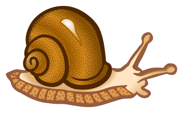 Cartoon Snail PNG Transparent Background