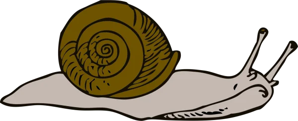 Cartoon Snail PNG Transparent Background