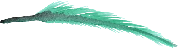 Watercolor Teal Feather PNG Transparent Background