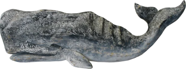 Weathered Sperm Whale PNG Transparent Background