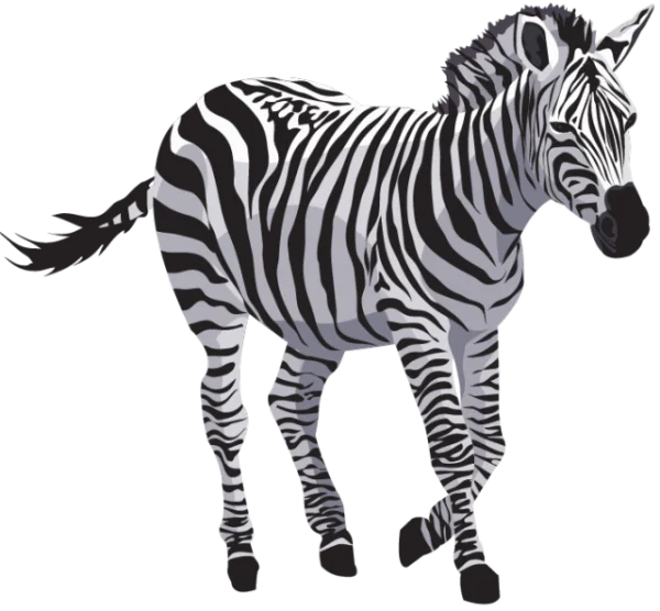Running Zebra PNG Transparent Background