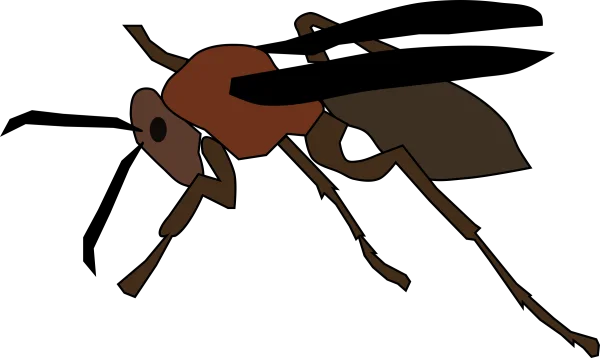 Stylized Brown Ant PNG Transparent Background