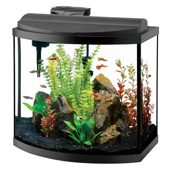Aquarium with Fish and Plants PNG Transparent Background