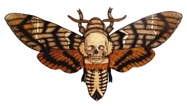 Death's-head Hawkmoth Skull PNG Transparent Background