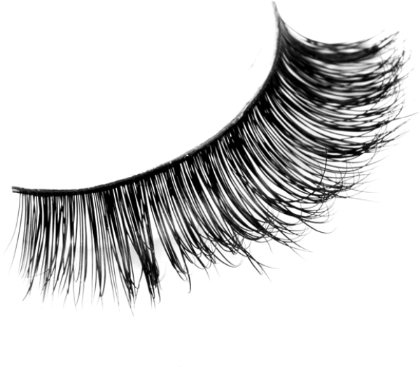 Blank Transparent PNG