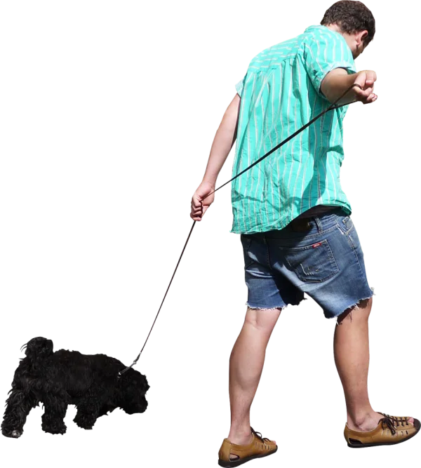 Man Walking Dog on Leash PNG Transparent Background