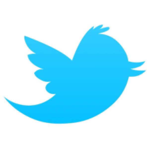 Twitter Bird Logo PNG Transparent Background
