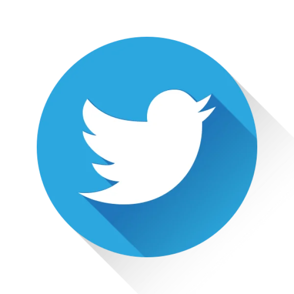 Twitter Logo Icon PNG Transparent Background