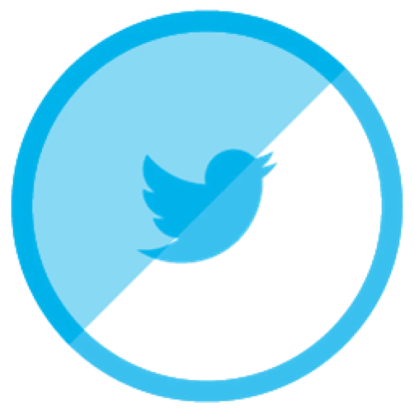 Disabled Twitter Bird Logo Icon