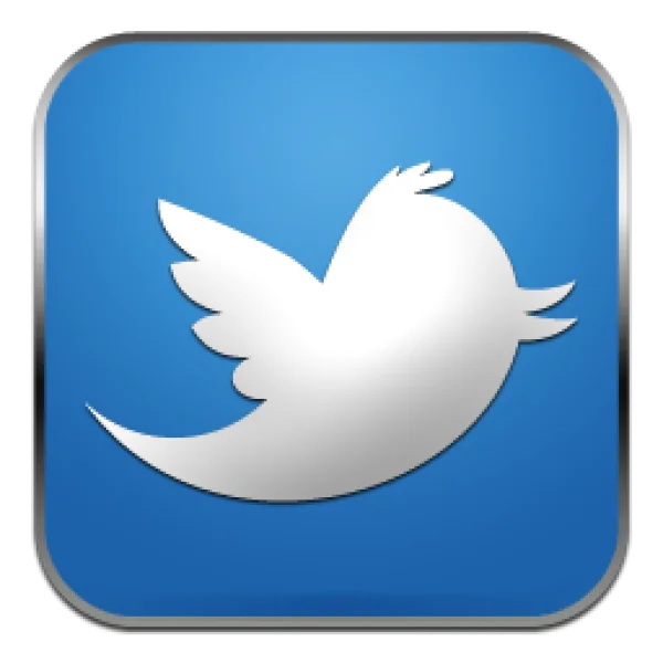 Twitter Bird Logo Icon PNG Blue Background
