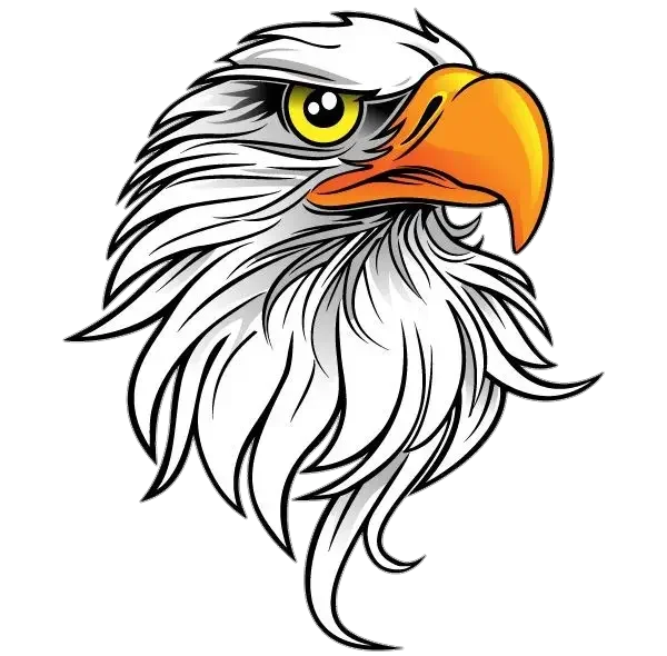 Stylized Eagle Head PNG Transparent Background